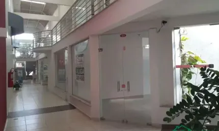 Casa para alugar na Avenida Américo Brasiliense, Vila Rezende, Piracicaba