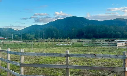 Lote rural a venda em Canelinha bairro moura com negociação facilitada