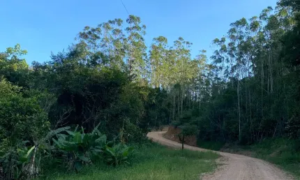 Terreno rural com 10 hectares em Canelinha-SC com plantação de eucaliptos