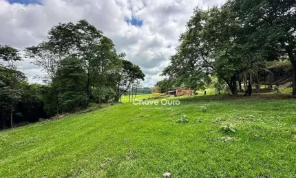 Chácara à venda, 22800 m² por R$ 750.000,00 - Vila Ipiranga - Toledo/PR