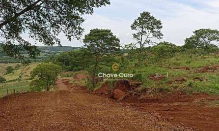 Chácara com 1 dormitório à venda, 20122 m² por R$ 350.000,00 - Dez de Maio - Toledo/PR