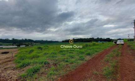 Chácara à venda, 1500 m² por R$ 400.000,00 - São Salvador - Cascavel/PR