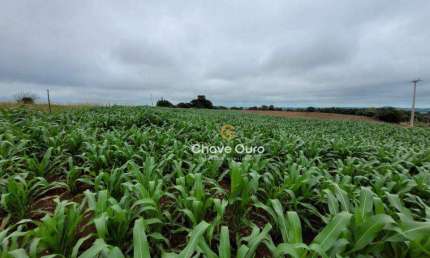 Área de 2.1 alqueires com escritura emSanta Tereza do Oeste/PR