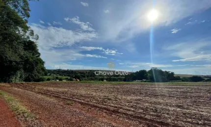 Chácara / sítio com 1 quarto à venda na Área Rural de Toledo, Toledo 