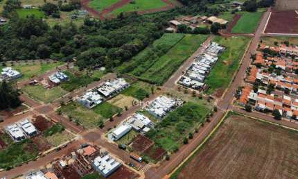 Terrenos a venda na Pioneira , Loteamento Cerejeira ,