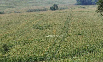 Área rural com 10 alqueires, ou 24.2 hectares com rio, pastagem e lavoura