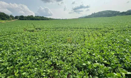 Terreno à venda na Zona Rural, São Pedro do Iguaçu 