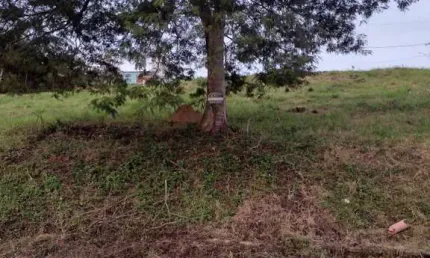 Terreno à venda na Avenida Berta Fernandes Martins Antunes, Jardim Vitória, Macaé