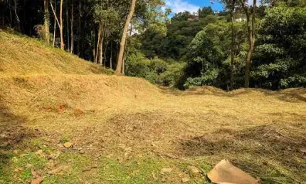 Terreno em condomínio fechado à venda na Alameda Monte Bernina, Vila Alpina, Nova Lima, 3000 m2 por R$ 4.200.000
