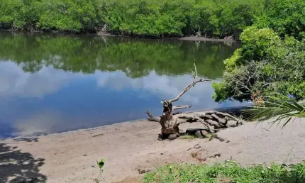 Terreno à venda na Rodovia Ba-099, 1, Barra do Jacuípe, Camaçari