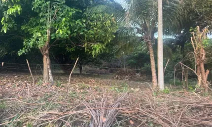Terreno 1000 m2 rua da cascalheira recanto do sabiá camacari
