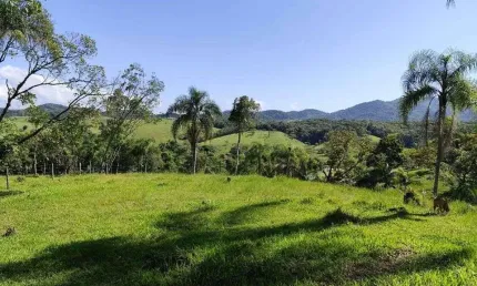 Chácara / sítio com 3 quartos à venda na Rua 21 De Junho, 589, Centro, Ilhota