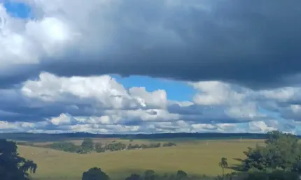 Chácara / sítio à venda na Zona Rural, São Manuel 