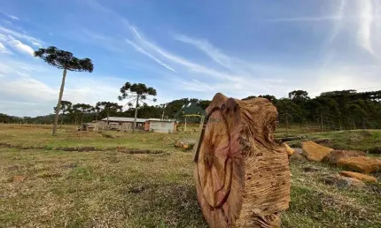 Chácara / sítio à venda na Zona Rural, Urubici 