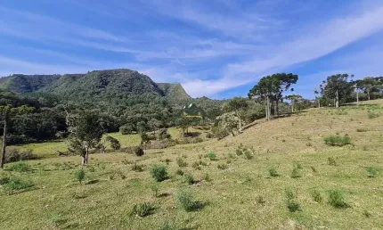 Chácara / sítio à venda na Zona Rural, Bom Retiro 
