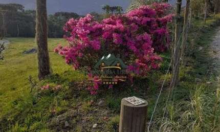Chácara / sítio à venda na Zona Rural, Urubici 