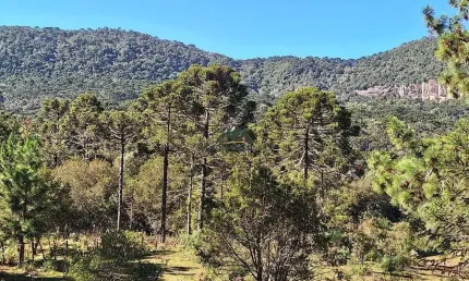 Chácara / sítio à venda na Zona Rural, Urubici 