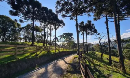 Chácara / sítio à venda no Santa Tereza, Urubici 