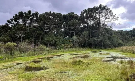 Chácara / sítio à venda na Zona Rural, Urubici 