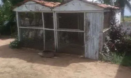 Granja com 1,5 hectares em vera cruz perto da cidade bem localizada