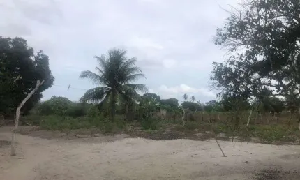 sitio com 5.500 metros quadrados na região de vera cruz para quem busca susego com qualidade
