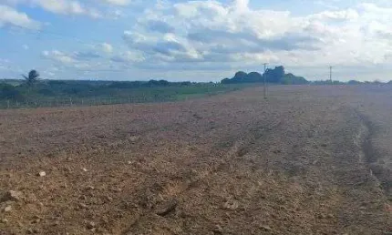 granja com 3.6 hectares na região de Monte Alegre com uma excelente localização oportunidade única