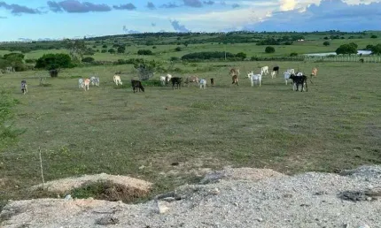 granja com 5 hectares em várzea com uma boa estrutura e localização boa