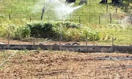 granja com 1.3 hectares bem localizada e estruturada em Jucurutu boa de água
