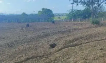 Chácara / sítio com 3 quartos à venda no Centro, Monte Alegre 