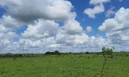 Ótima Fazenda com 45 hectares em jandaira com 2 poços tubulares 100% plana