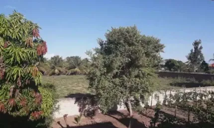 Granja com 2.431 metros no arena municipal de são José de Mipibu