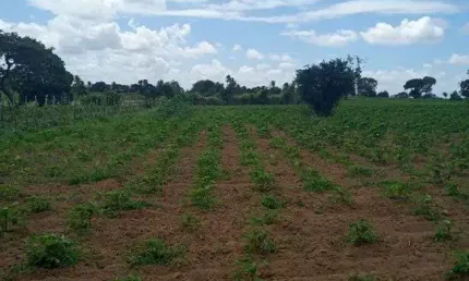 Granja com 6 hectares no cobe município de Vera Cruz