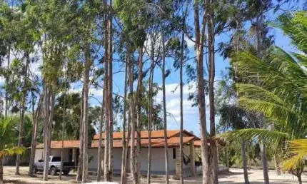 Chácara / sítio com 3 quartos à venda no Centro, Senador Elói de Souza 