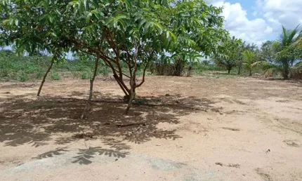 Linda granja em vera cruz com 50 por 60 lugar top para viver