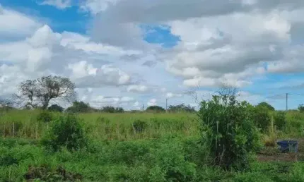 Chácara / sítio com 4 quartos à venda no Centro, Macaíba 