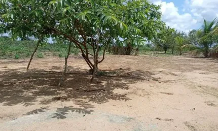 Chácara / sítio com 3 quartos à venda no Centro, Vera Cruz 