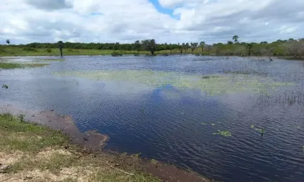 Excelente Granja em Lagoa de Pedras com 12 hectares