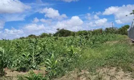 Granja com 20 hectares em punau estruturada rio perene