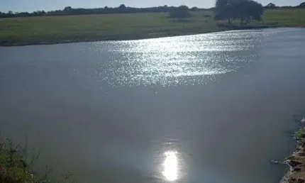 Linda granja com 17 hectares na região de mente alegre