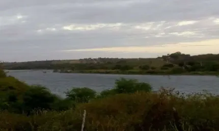 Fazenda/sítio/chácara para venda possui 95 hectares na região de são paulo do protegi