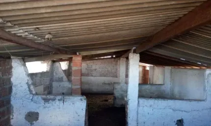 Fazenda com excelente estrutura em Elói de Souza 104 hectares