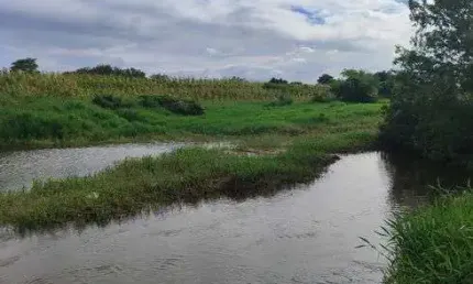 granja com 23 hectares proximo da cidade e do rancho aliança