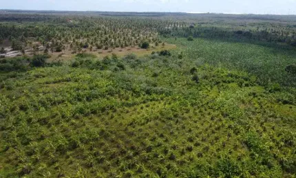 Fazenda com 379 hectares na região de rio do fogo cortada por rio perene e pela br 101