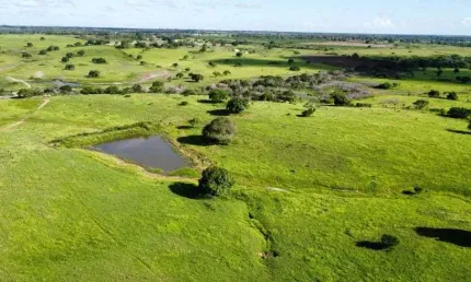 fazenda com 410 hectares com uma estrutura encantadora 90% plantado