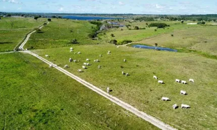 fazenda com 150 hectares entre Macaiba e vera cruz um Luxo de fazenda