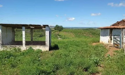 Excelente Granja com 6.6 hectares no arena excelente para criação e plantação