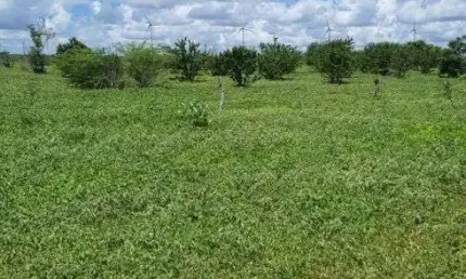 Chácara / sítio com 3 quartos à venda no Centro, Jandaíra 