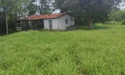 Fazenda com 40 hectares em comum município de monte alegre um luxo de fazenda