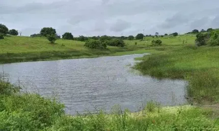 Chácara / sítio com 4 quartos à venda no Centro, Monte Alegre 