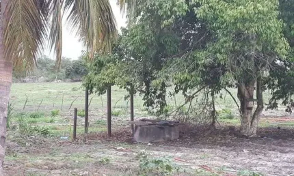 Excelente Fazenda com 27 hectares de porteira fechada em trairas